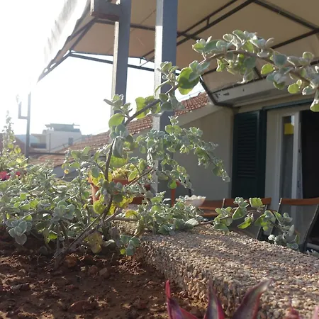 Tonka 아파트 보디체