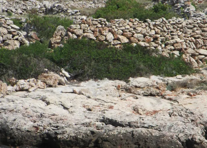 شقة Tonka فوديس